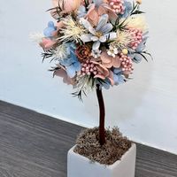 未提供相片說明。
