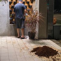 未提供相片說明。