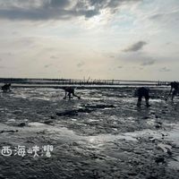 未提供相片說明。