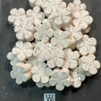 未提供相片說明。