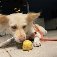 未提供相片說明。
