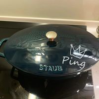 可能是室內和顯示的文字是「 STAUB Ping 」的圖像