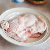 可能是食物和室內的圖像