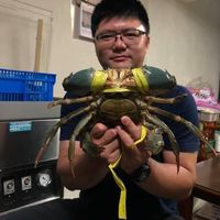 未提供相片說明。