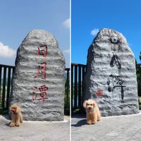 未提供相片說明。