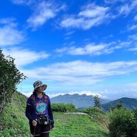 未提供相片說明。