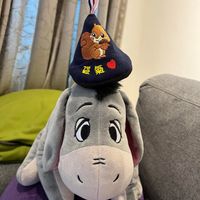 未提供相片說明。