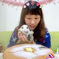 未提供相片說明。