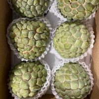 未提供相片說明。