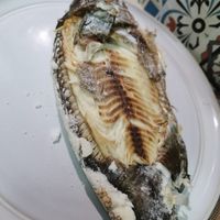 未提供相片說明。