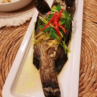 未提供相片說明。