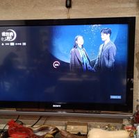 未提供相片說明。