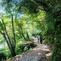 未提供相片說明。