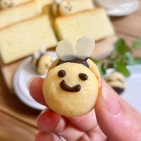 未提供相片說明。
