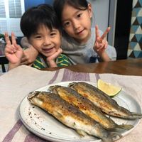 未提供相片說明。
