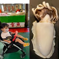 未提供相片說明。