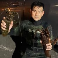 未提供相片說明。