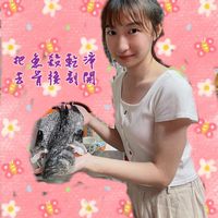 未提供相片說明。