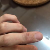 未提供相片說明。