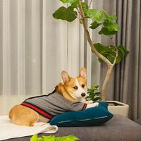 未提供相片說明。
