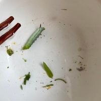 未提供相片說明。