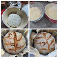 可能是食物的圖像