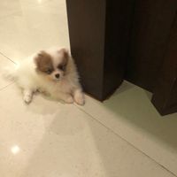 未提供相片說明。