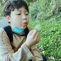 未提供相片說明。
