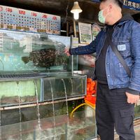 未提供相片說明。