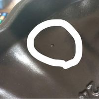 未提供相片說明。