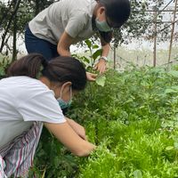 未提供相片說明。