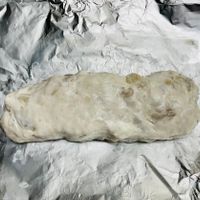 未提供相片說明。
