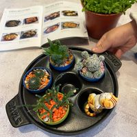 未提供相片說明。
