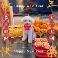 未提供相片說明。