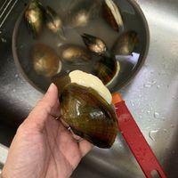 未提供相片說明。
