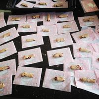 未提供相片說明。
