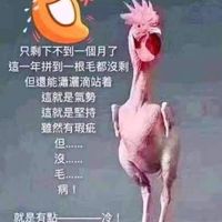 未提供相片說明。