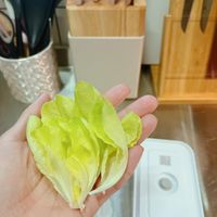 未提供相片說明。