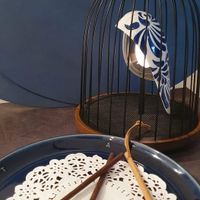 未提供相片說明。