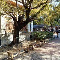 未提供相片說明。