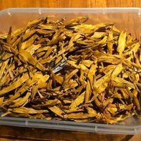 未提供相片說明。