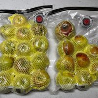 未提供相片說明。