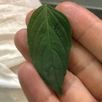 未提供相片說明。