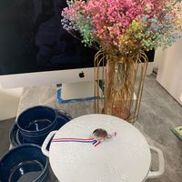 未提供相片說明。