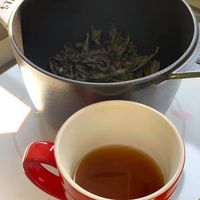 未提供相片說明。