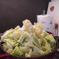 未提供相片說明。