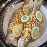 未提供相片說明。