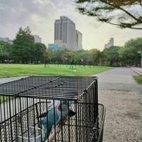 未提供相片說明。