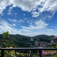 未提供相片說明。