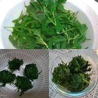 未提供相片說明。